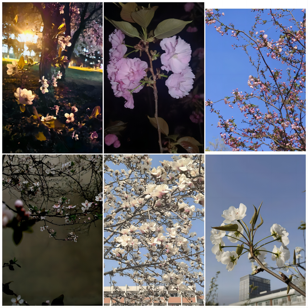 9261dd240c0d4c4d912c0cae44532396.png 9261dd240c0d4c4d912c0cae44532396.png